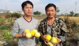 吃瓜群众3246,一场全民参与的舆论风暴