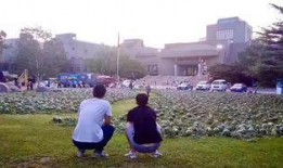 萍乡学院吃瓜事件,校园舆论风波背后的真相探究