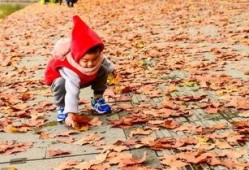 给朋友拍照吃瓜,与朋友共享的欢乐时光