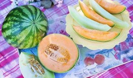 梦见吃瓜和摘瓜什么意思,吃瓜与摘瓜背后的寓意与启示