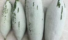 耗子瓜可以吃吗,能否安全食用之谜