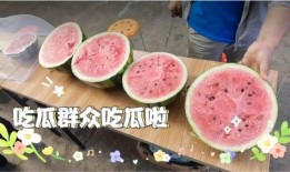 最近天天都在吃瓜,娱乐圈风云录