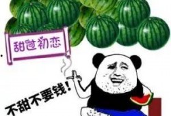 去买瓜吃,去哪儿买瓜吃最划算？