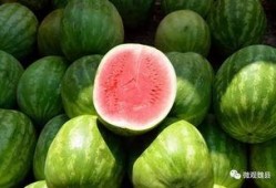 魏县吃瓜事件是什么