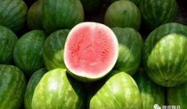 魏县吃瓜事件是什么