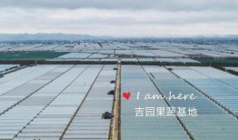 台州吃瓜温岭