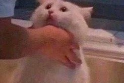 吃瓜视频朝阳群众,吃瓜视频中的社区守望者