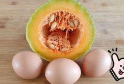 妈妈吃蛋瓜,蛋瓜美食之旅