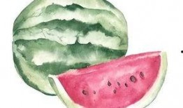 吃瓜者恒被吃,揭秘网络舆论场的生存法则