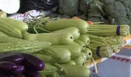 写一个人吃瓜的顺序,从街头巷尾到网络热议，一网打尽吃瓜达人成长记