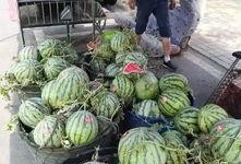 冕宁吃瓜事件视频,一场网络热议的真相揭秘