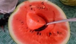 中国吃瓜vs日本吃瓜,趣味横生的社会现象解析