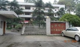 萍乡学院吃瓜事件,校园舆论风波背后的真相探究