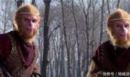 六耳猕猴吃瓜视频,揭秘神秘猴王的双重身份之谜