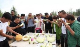 吃老汉瓜图片,老汉瓜图中的田园风情