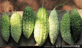 吃瓜通便正常吗,揭秘日常饮食中的健康秘密