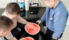 3兄弟吃瓜,三兄弟瓜田奇遇记