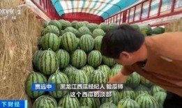 沿途吃瓜,品味人生百态