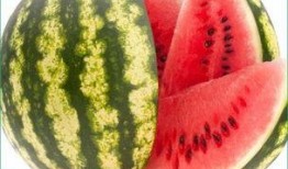 天天吃梨瓜好吗,健康生活每一天