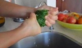 角瓜切四刀夹肉馅蒸着吃