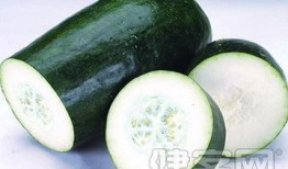 肝病吃矮瓜,天然食疗新选择