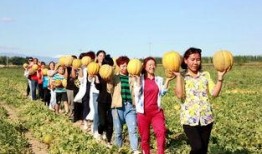 吃老汉瓜图片,老汉瓜图中的田园风情