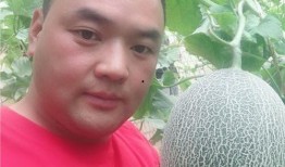 吃瓜直播吃瓜,揭秘吃瓜群众的狂欢盛宴