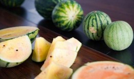 吃瓜像什么,揭秘网络时代的“瓜”文化现象