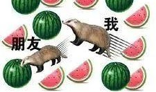 马某吃瓜,揭秘娱乐圈背后的真相与争议