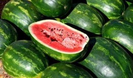 53吃瓜怎么下载,一键获取热门内容