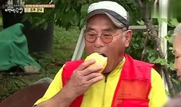 韩综吃瓜的人,一场娱乐与现实的交织盛宴