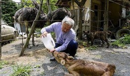 乡村偷瓜吃的动物,揭秘乡村偷瓜动物的神秘身影