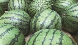 临海塘头吃瓜,瓜香四溢的临海风情