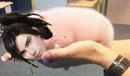 泪水吃瓜,探寻泪水与吃瓜背后的故事