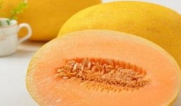 吃哈密瓜可以吃黄瓜吗,同食相宜的夏日美味搭配