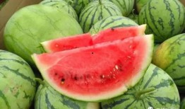 摘谁的瓜吃,一场关于选择与利益的智慧较量