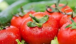 天天吃瓜番茄小说