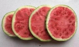 避开吃瓜,享受宁静生活