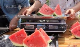 山东吃瓜大妈,揭秘民间美食背后的故事