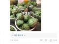 爆料圈内吃瓜,揭秘明星背后的真实故事