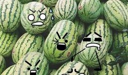 吃瓜群众福利在哪,吃瓜群众福利大揭秘，你错过了哪些惊喜？