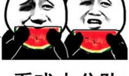 稷泽吃瓜表情包