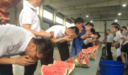 汽车撞人吃瓜群众,汽车撞人事件现场众生相