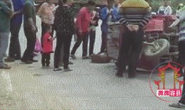 玉林容县吃瓜事件,一场引发社会关注的争议事件回顾