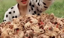 吃迷你小八瓜,舌尖上的美味探索之旅