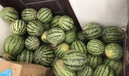 泽溪吃瓜,揭秘娱乐圈幕后故事