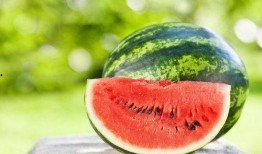 夏天吃瓜解说,瓜果飘香，清凉一夏的美食之旅