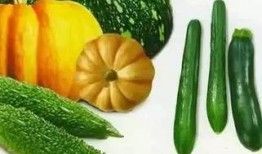 清秋吃瓜,一场味蕾与时光的邂逅