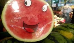 爱在空气中吃瓜,爱在瓜田里的浪漫邂逅