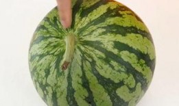 离普吃瓜,揭秘娱乐圈背后的真实故事